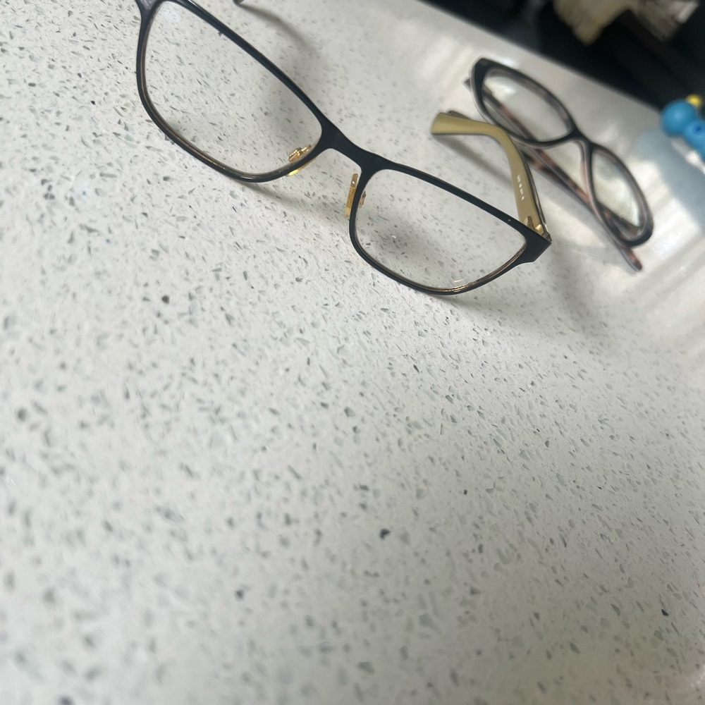 Dolce & Gabbana Black and Gold Glasses